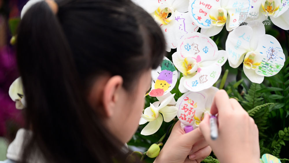 上海复旦大学肿瘤医院黄牛号贩子票贩子代网上预约代挂号电话新春走基层|年宵花开,日子更红火