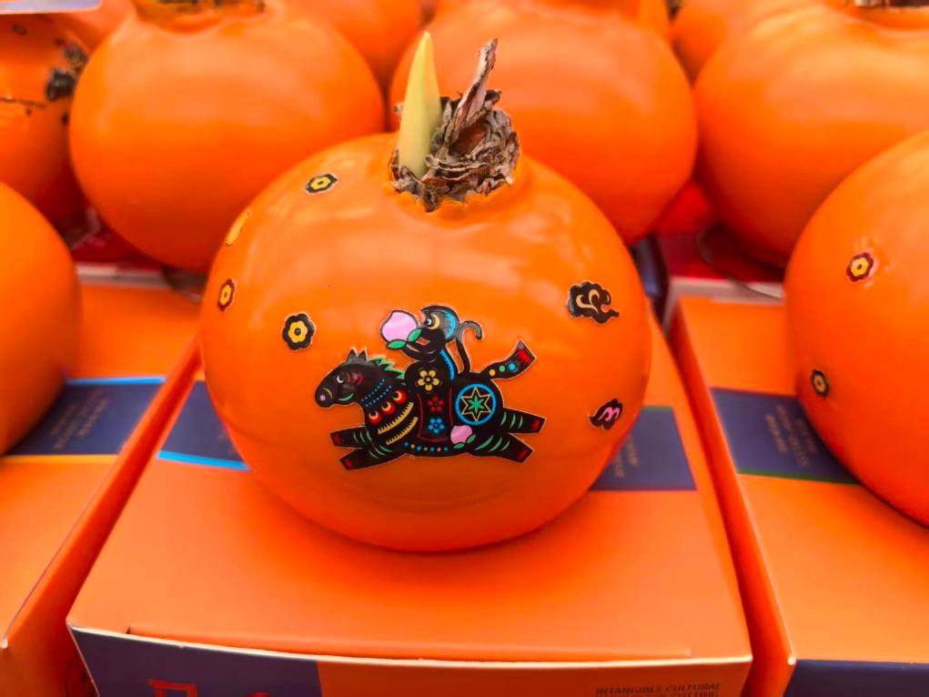 上海复旦大学肿瘤医院黄牛号贩子票贩子代网上预约代挂号电话新春走基层|年宵花开,日子更红火