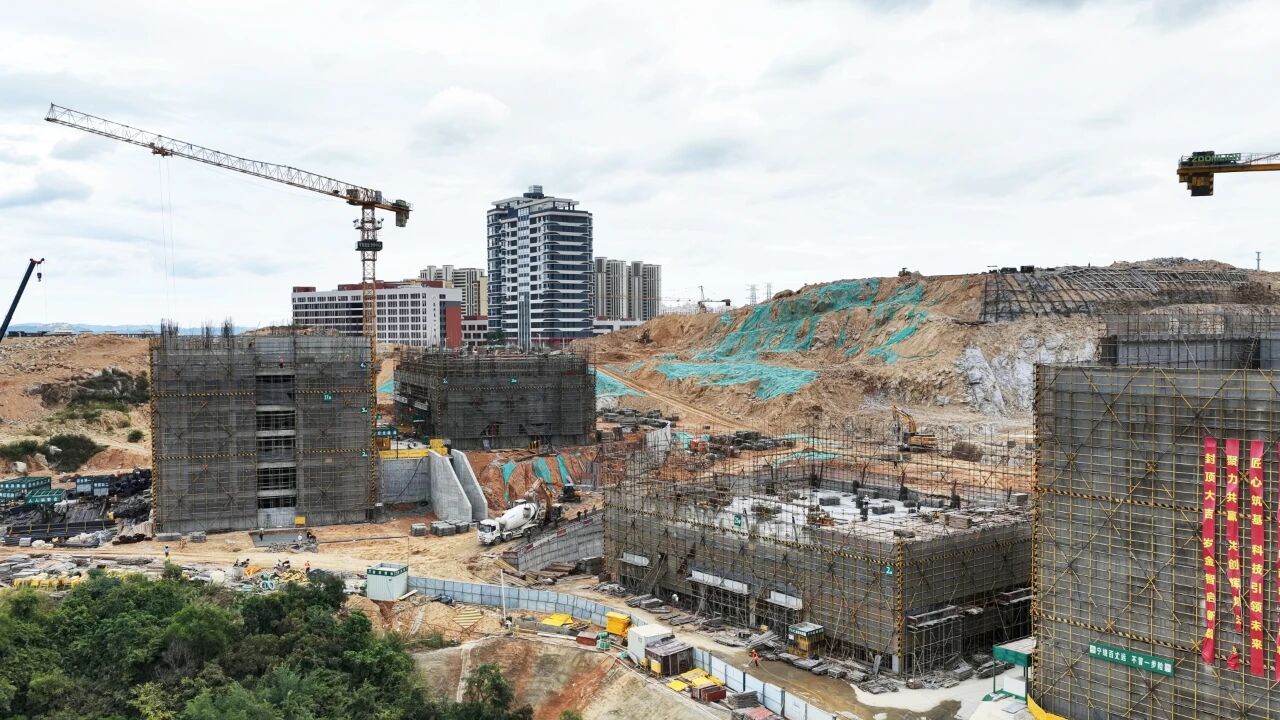 春节“不打烊”!他们在福建实干争先