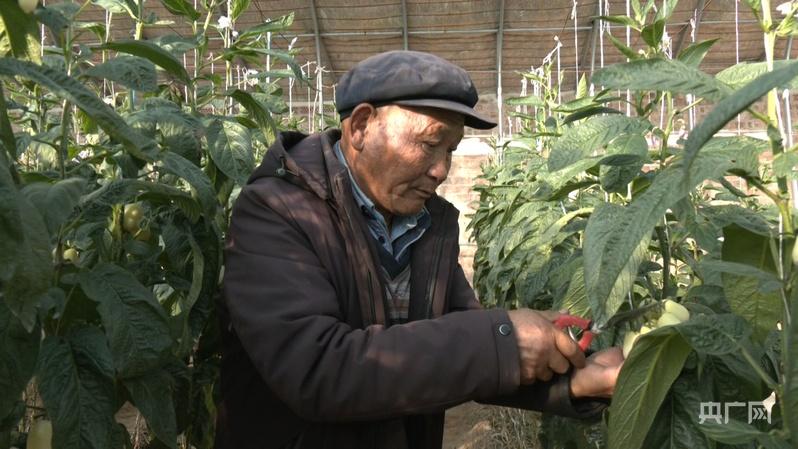 【习声回响】让老百姓幸福就是党的事业 【习声回响】让老百姓幸福就是党的事业