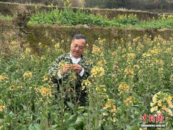 上海市中医医院黄牛号贩子票贩子代网上预约代挂号电话全国人大代表沈昌健:泥土里育“金种” 田埂上传“农声”