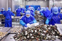 <strong>
中国医学科学院苏凯邱斌刘文胜刘杰黄牛挂号电话赶订单忙生产 连江企业冲刺</strong>