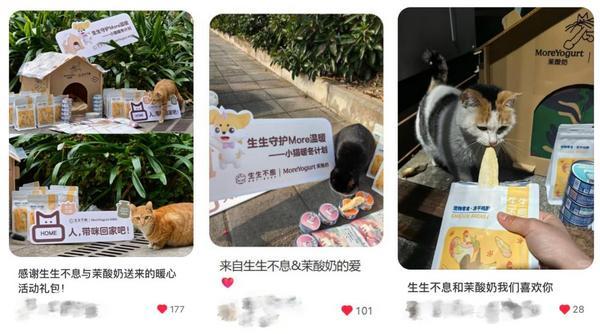 上海市精神卫生中心黄继忠石华孟杜亚松赵志民程文红黄牛挂号电话跨界聚力,爱暖校园:茉酸奶携手生生不息守护流浪小动物