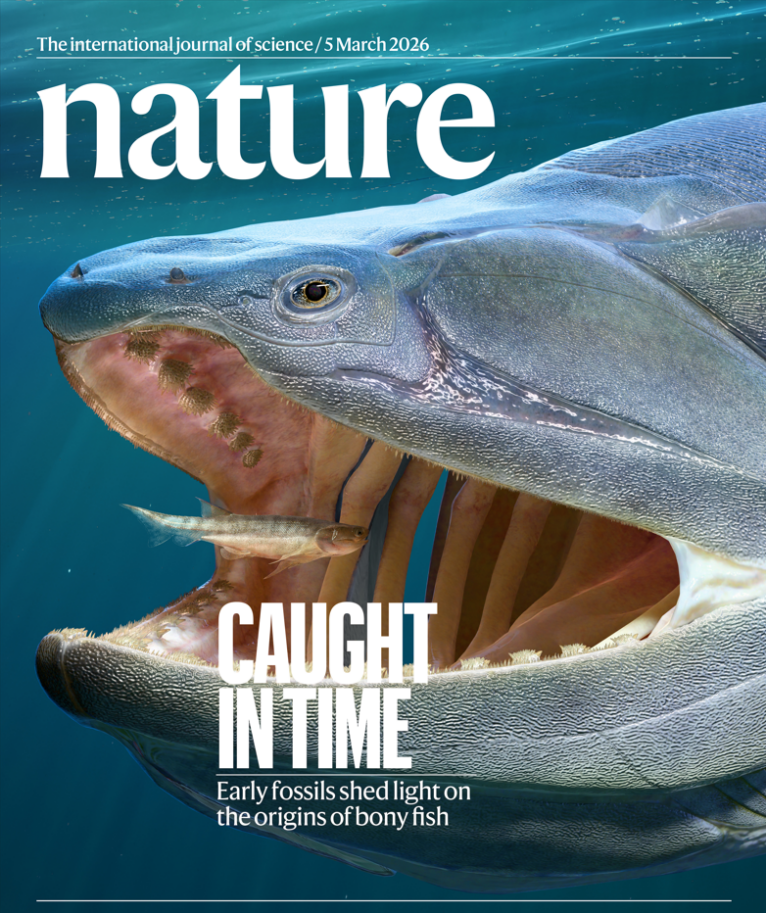 “从鱼到人”再添新证！我国发现早期硬骨鱼类化石