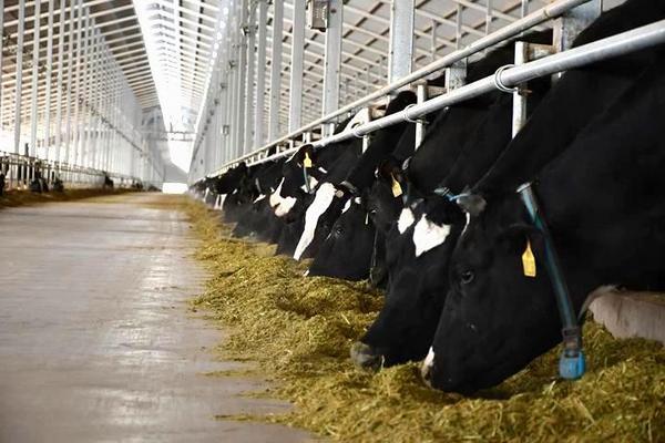 
重庆各大医院各科室刘权兴戴纪刚黄牛挂号电话蒙牛两会献策：以科技创新铸强产业链韧性，助力“十五五”高质量开局