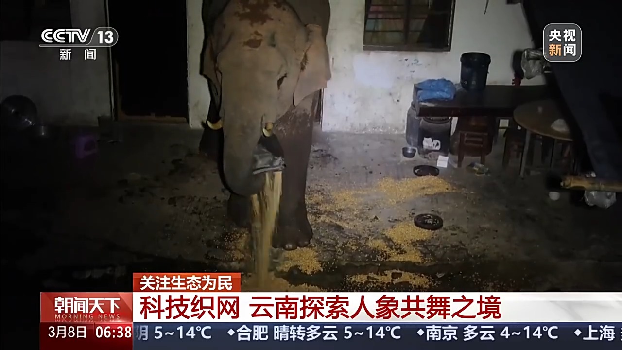 
安贞医院黄牛号贩子票贩子代网上预约代挂号电话保护野生动物不仅靠“情怀”更靠“机制” 多地交上答卷