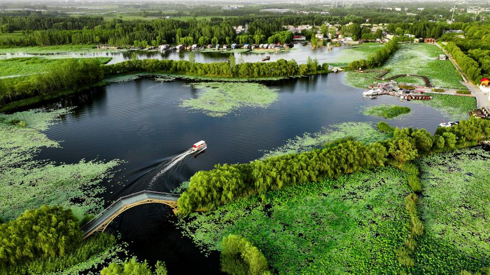 两会新华鲜报丨最严的法治，守护最美的山水