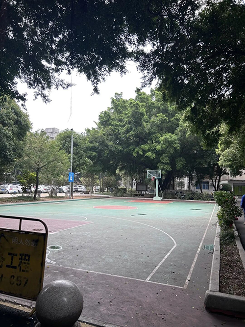 上海新村、凤凰新村、宁化新村、环南新村……横跨福州人半世纪的新村情缘