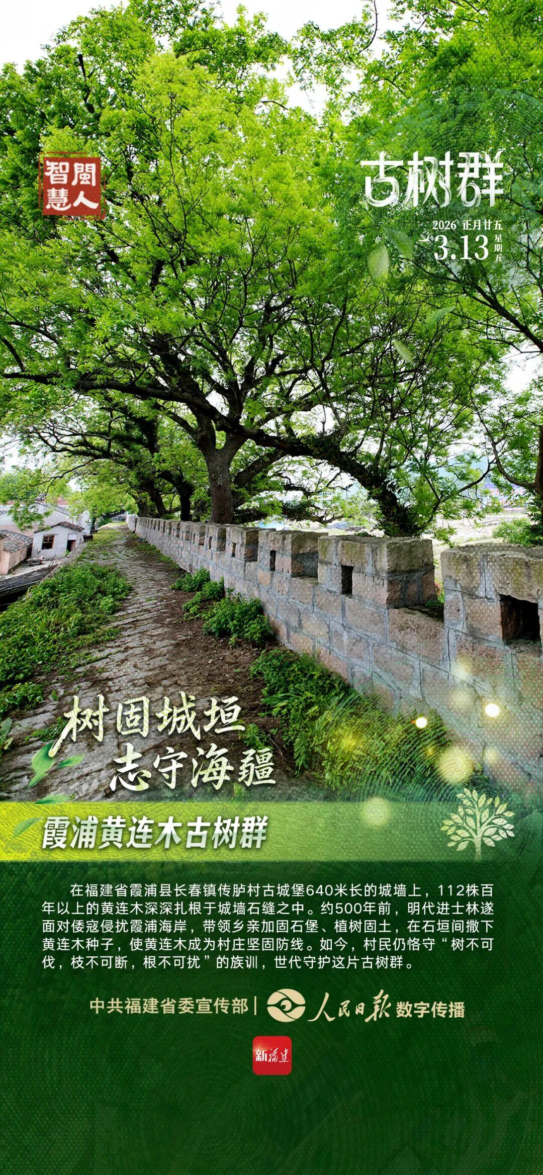 闽人智慧|树固城垣 志守海疆 闽人智慧|树固城垣 志守海疆