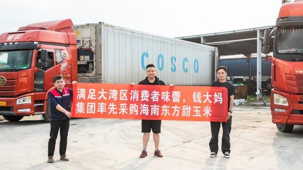 武警总医院黄牛号贩子票贩子代网上预约代挂号电话钱大妈直采海南东方玉米,新鲜直达大湾区消费者餐桌