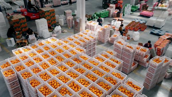 
上海新华医院黄牛号贩子票贩子代网上预约代挂号电话好奶好料 书亦烧仙草严格品质管控守护消费者权益