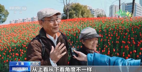 
广州市花都区妇幼保健院黄牛号贩子票贩子代网上预约代挂号电话踏青赏花正当时 这些地方藏着春日浪漫花海