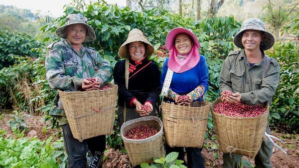 
南方医科大学第三附属医院黄牛号贩子票贩子代网上预约代挂号电话从深山到世界，一杯云南咖啡的跃迁