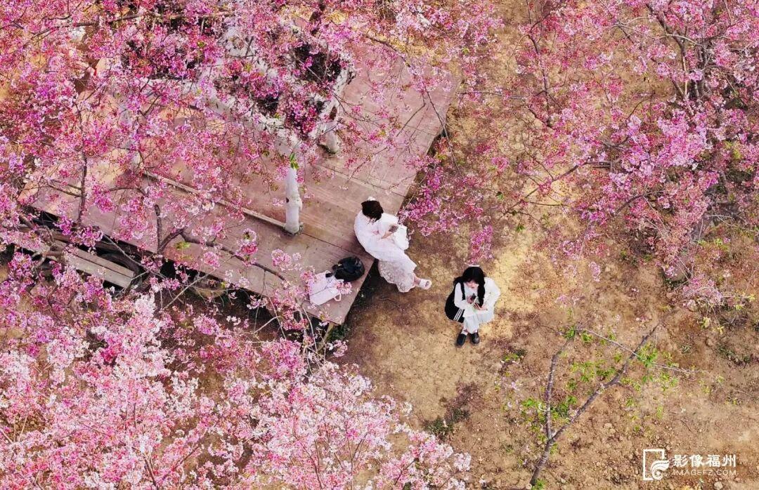 全国第二!福州跻身同程旅行2026春游胜地甄选榜单 全国第二!福州跻身同程旅行2026春游胜地甄选榜单