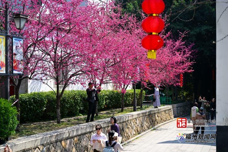 全国第二!福州跻身同程旅行2026春游胜地甄选榜单 全国第二!福州跻身同程旅行2026春游胜地甄选榜单