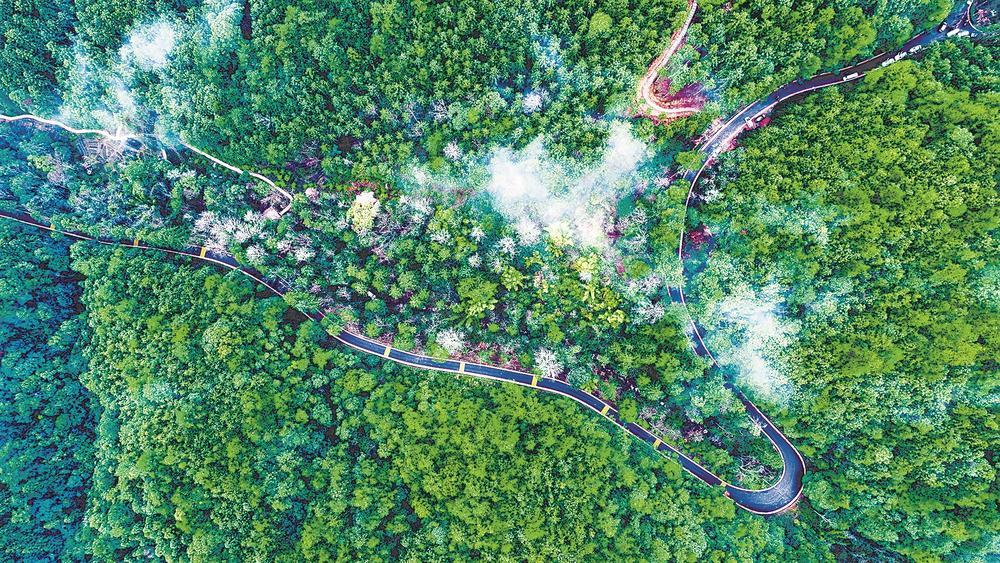 邵武：一条路如何激活山区文旅