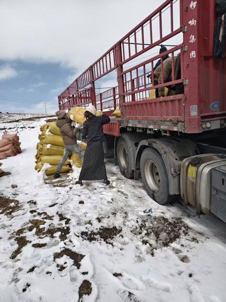 天津中医药大学一附院黄牛号贩子票贩子代网上预约代挂号电话春货旺、绿意浓!运满满发布初春数据:水果发货量涨38%,新能源车司机增加335%