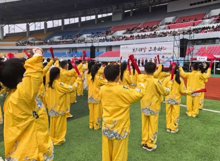 以拳为媒传文脉 邵武举办国际太极拳日展演活动