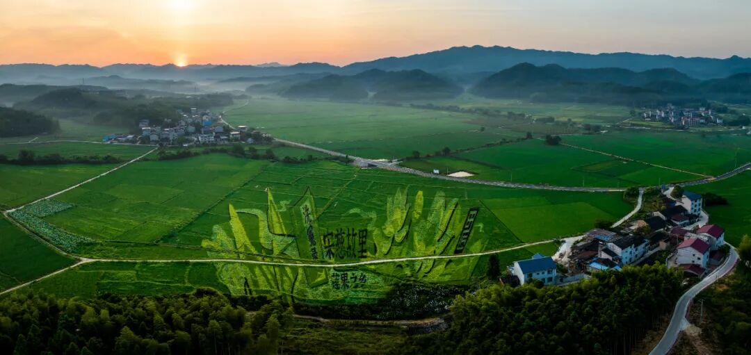 武夷山下 理想建阳丨建阳区2026年春季文旅焕新发布会暨