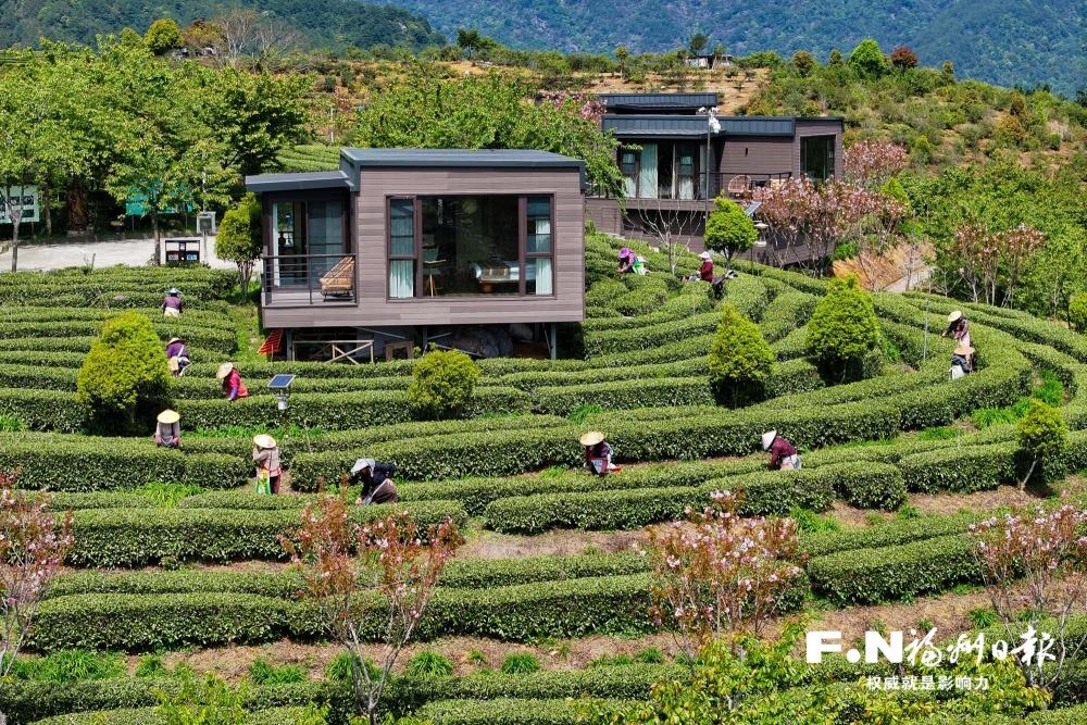 永泰县同安镇有力有效推进乡村全面振兴