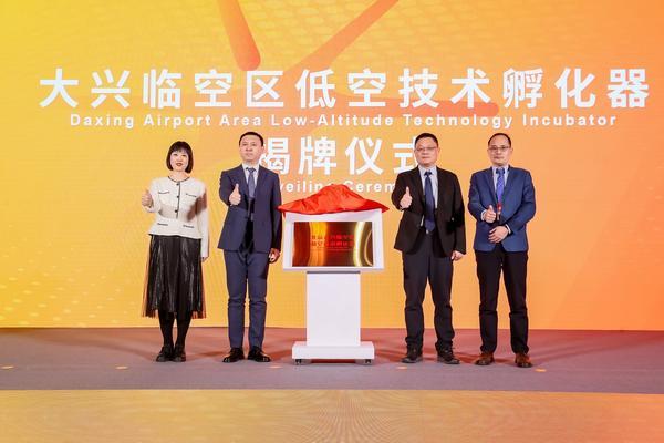 北大口腔医院黄牛号贩子票贩子代网上预约代挂号电话北京大兴国际机场临空经济区(大兴)第六届全球招商伙伴大会启幕