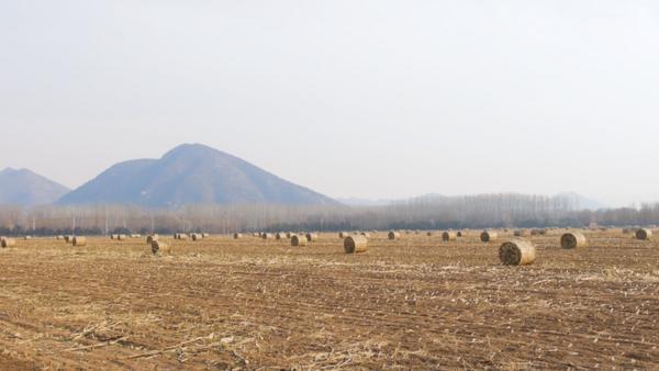 
南京医科大学第二附属医院黄牛号贩子票贩子代网上预约代挂号电话妫川大地“点废成金”——延庆农业废弃物综合利用的“两山”实践