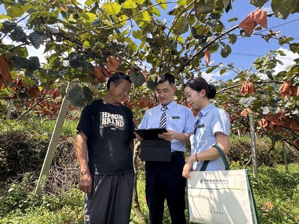 
天津市中心妇产科医院黄牛号贩子票贩子代网上预约代挂号电话“三农”沃土的“邮储答卷” 邮储银行普惠型涉农贷款余额突破1万亿元