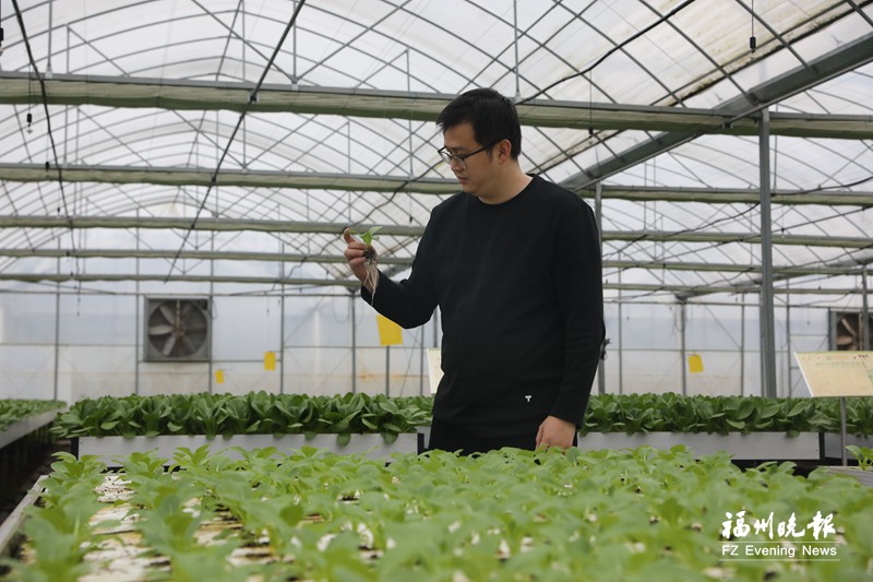 科技赋能春耕 水培蔬菜规模化上市