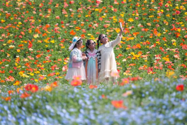 
江苏省中西医结合医院黄牛号贩子票贩子代网上预约代挂号电话Color Walk、赏味游……这个假期你更爱哪种？