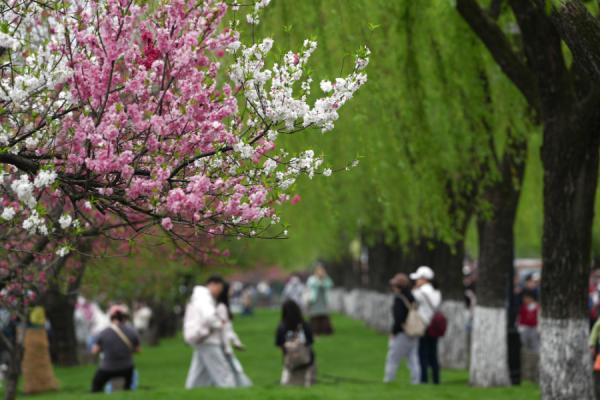 
江苏省中西医结合医院黄牛号贩子票贩子代网上预约代挂号电话Color Walk、赏味游……这个假期你更爱哪种？