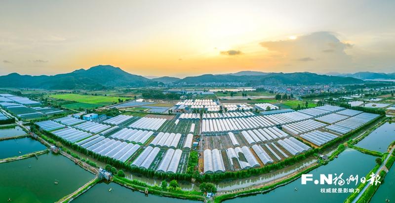 读懂福州市委一号文件:三个方向绘出“三农”工作路线图