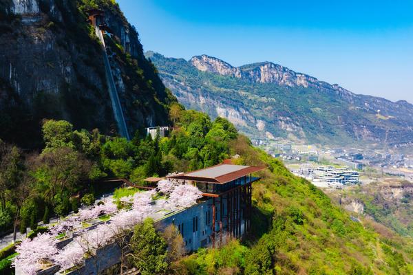 
天津中医药大学二附院黄牛号贩子票贩子代网上预约代挂号电话赤水左岸诗酒五载：当文学与美酒在时间里“生长养藏”