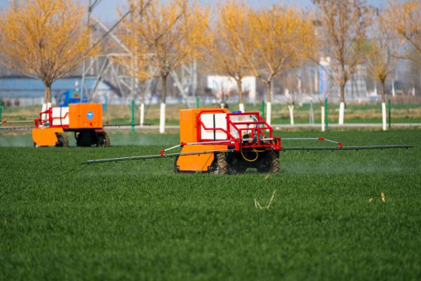 2026年3月9日,山东省肥城市安驾庄镇洼里无人智慧农场内,由山东农业大学团队自主研制的喷药机器人在喷洒农药。新华社记者 朱峥 摄