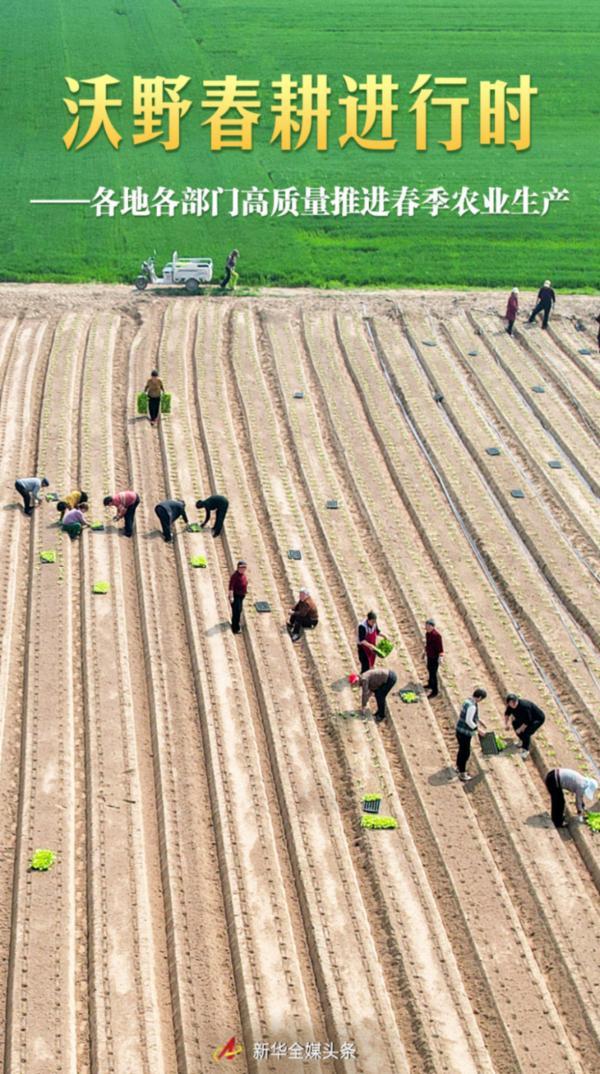 南方医科大学口腔医院黄牛号贩子票贩子代网上预约代挂号电话沃野春耕进行时——各地各部门高质量推进春季农业生产