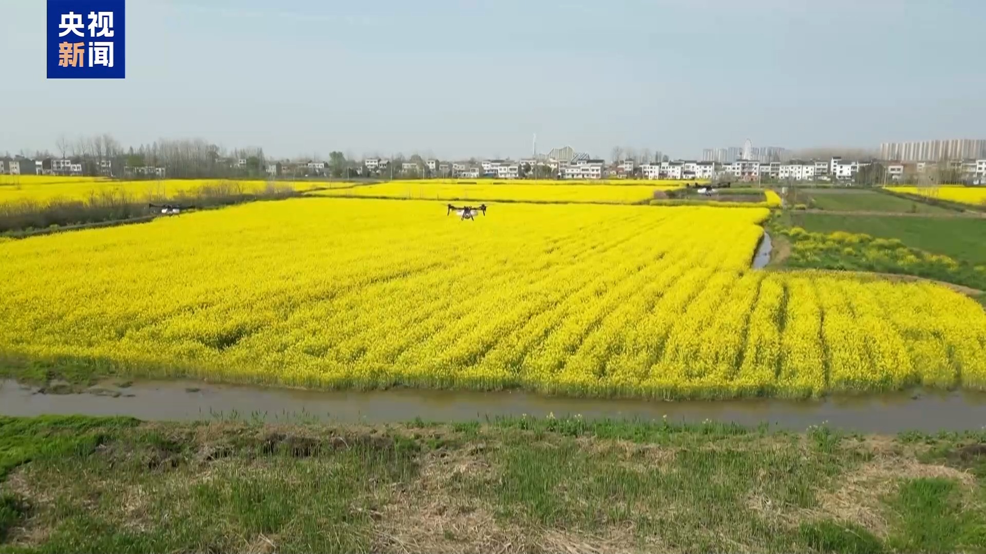 
西安各大医院黄牛挂号电话春耕关键期 金融“春雨”为农业生产保驾护航