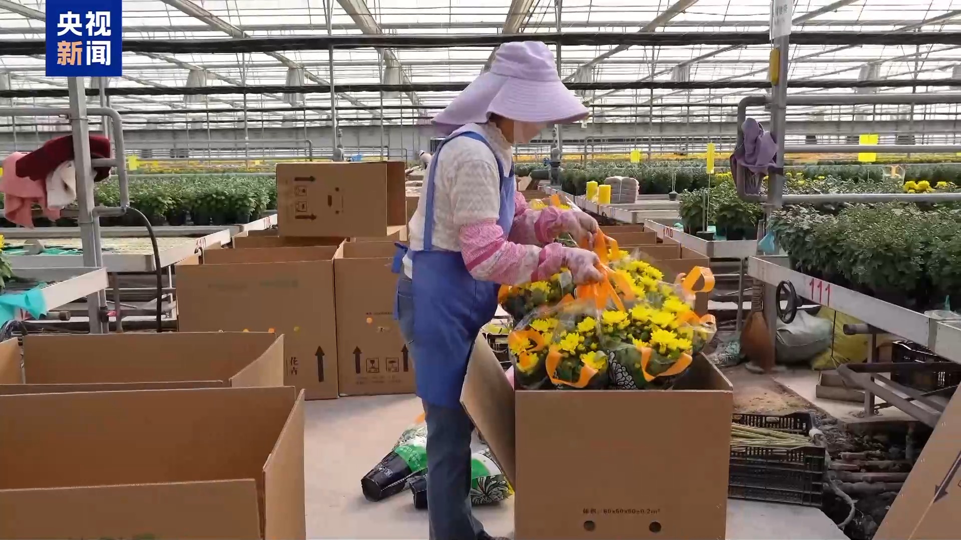 
重庆医科大学附属医院黄帅邱春玲李凡郑科罗玩元尹志康朱江王晓强冯金洲夏海坚张学东黄牛挂号电话“齐天大圣”现身花卉展 “新奇萌”和“怪可爱” 新品火出圈