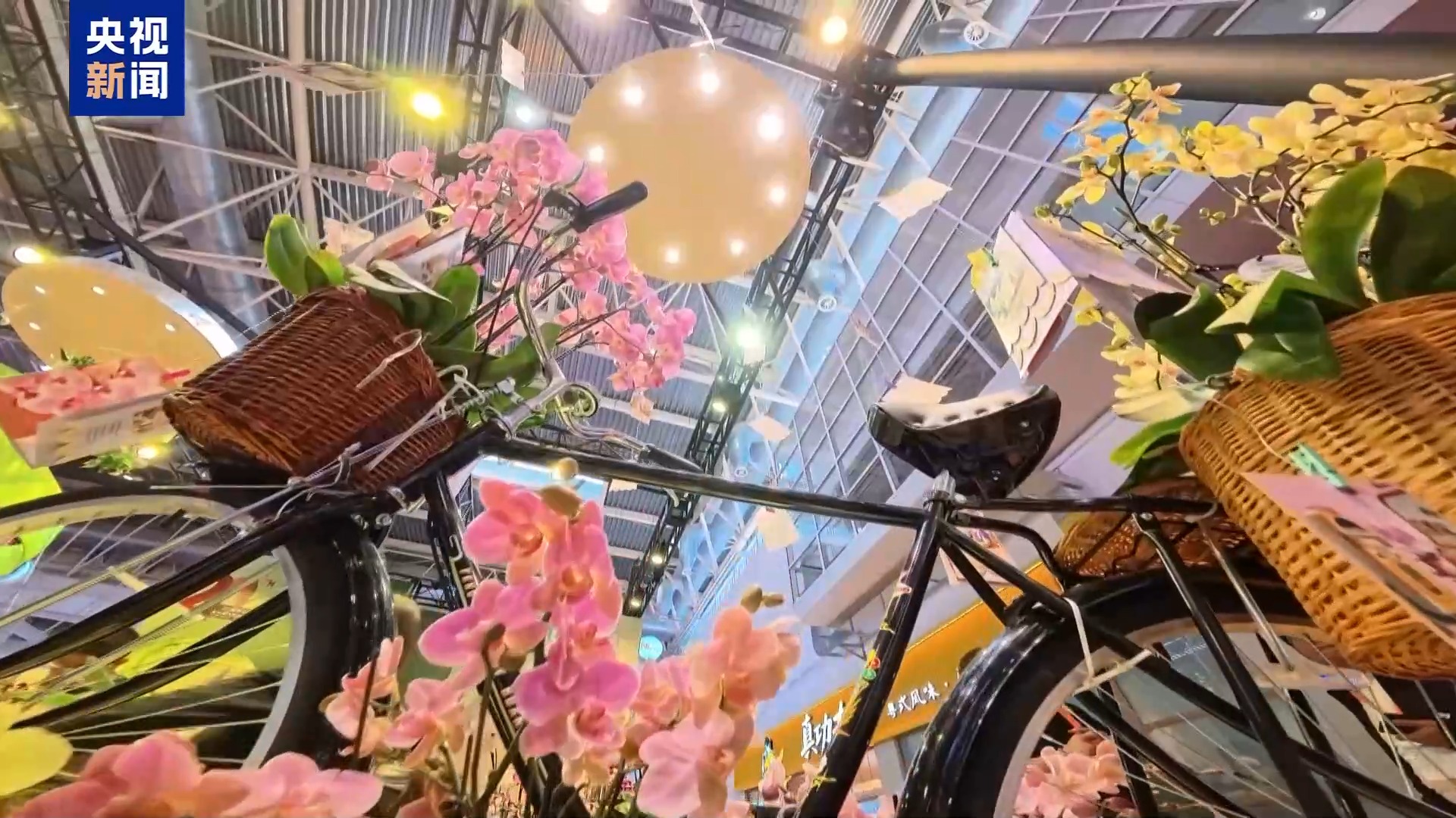 
重庆医科大学附属医院黄帅邱春玲李凡郑科罗玩元尹志康朱江王晓强冯金洲夏海坚张学东黄牛挂号电话“齐天大圣”现身花卉展 “新奇萌”和“怪可爱” 新品火出圈