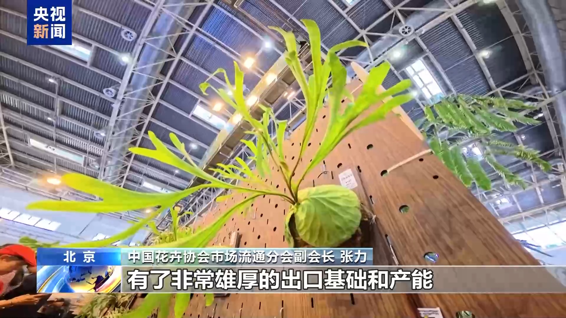 
重庆医科大学附属医院黄帅邱春玲李凡郑科罗玩元尹志康朱江王晓强冯金洲夏海坚张学东黄牛挂号电话“齐天大圣”现身花卉展 “新奇萌”和“怪可爱” 新品火出圈