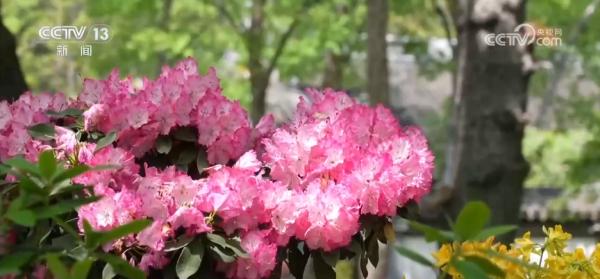 
上海东方医院黄牛号贩子票贩子代网上预约代挂号电话“花卉+文旅+百业”创新模式推动文商旅体展深度融合 激发春日文旅消费活力