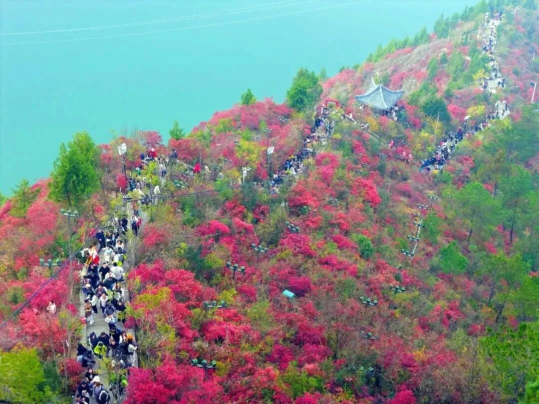 文旅转型新动向：从“经营景点”到“经营一座城”