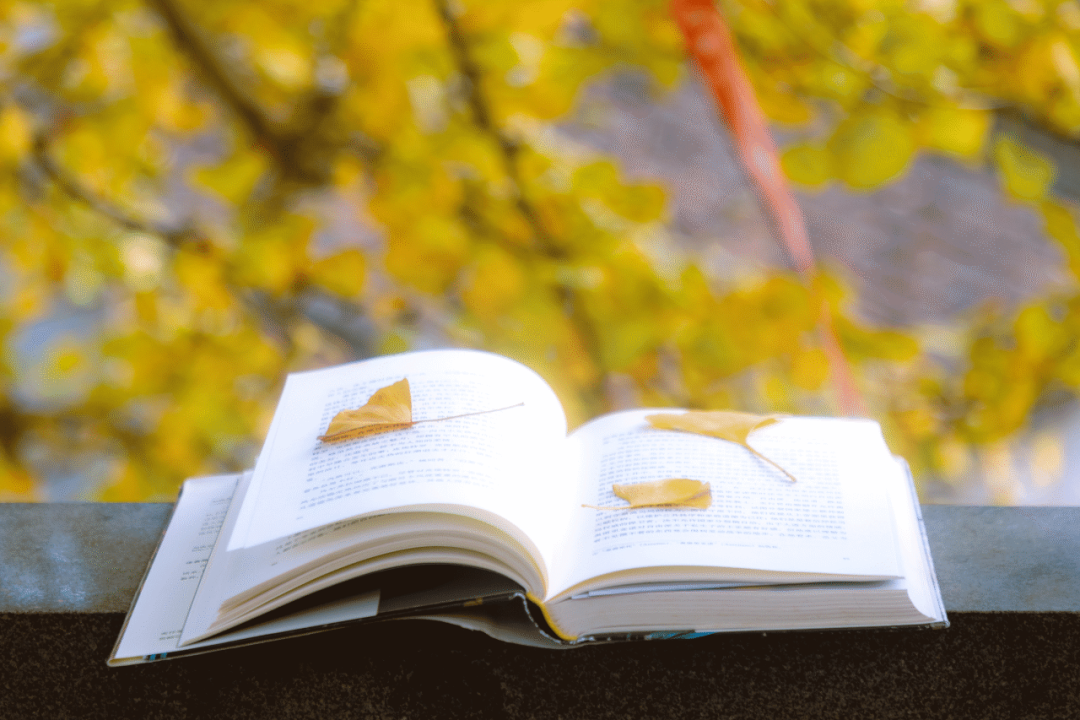 汇聚近20万种图书资源 “优质图书资源全民阅读服务平台”上线