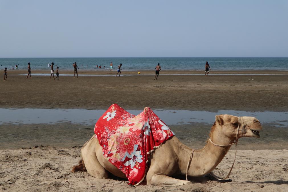 盯上红海航道 美国意图“拉拢”厄立特里亚