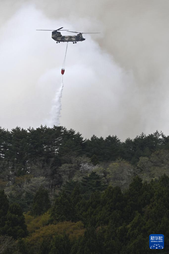 日本岩手县山火过火面积超200公顷