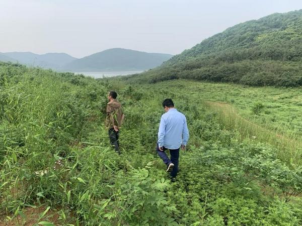 
北京首都医科大学附属北京儿童医院闫慧敏姚远柳静潘宇琛黄牛挂号电话在分期乐普惠的帮助下，70亩吴茱萸熬过丰收前夜