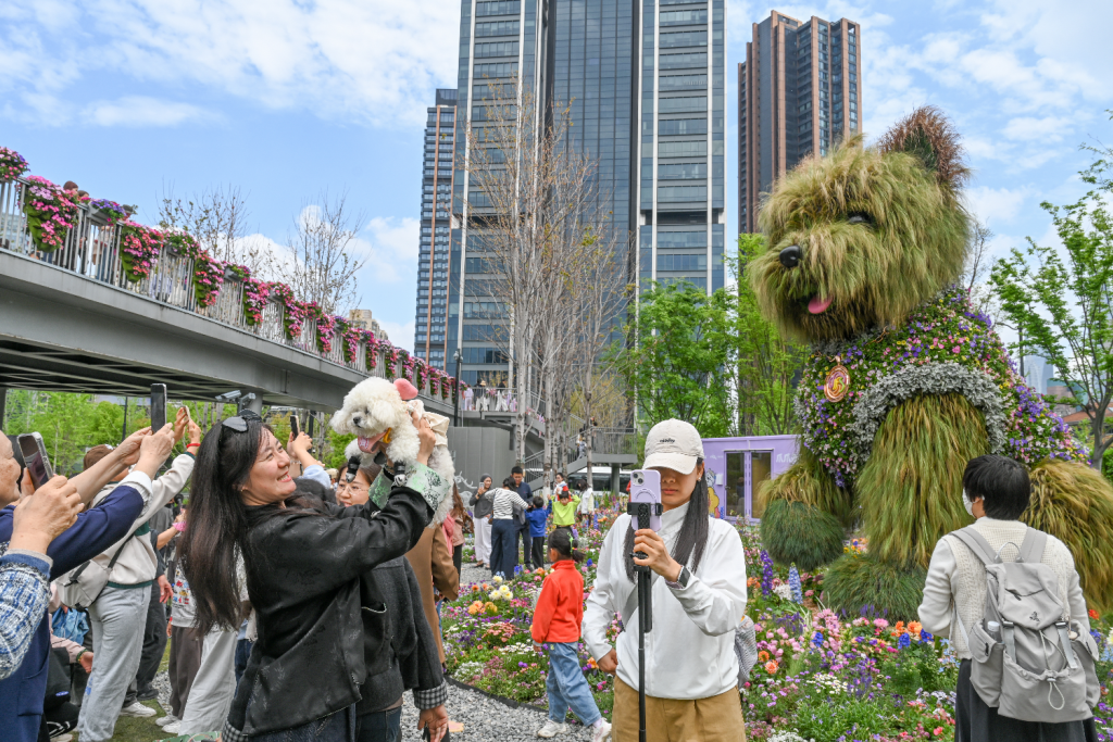
重庆各大医院黄牛挂号电话在“新”与“变”中，经济中心城市如何挑大梁