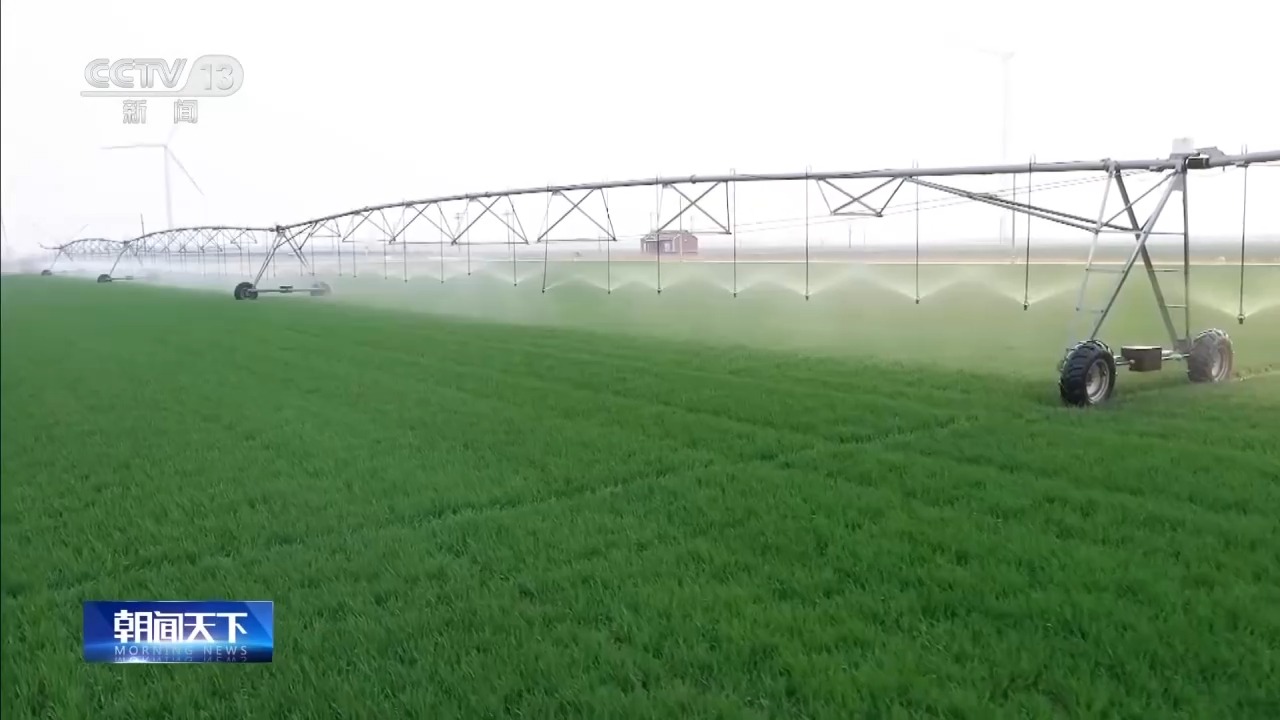 
中山大学肿瘤防治中心黄牛号贩子票贩子代网上预约代挂号电话小麦进入产量形成关键时期 田间春管不停歇