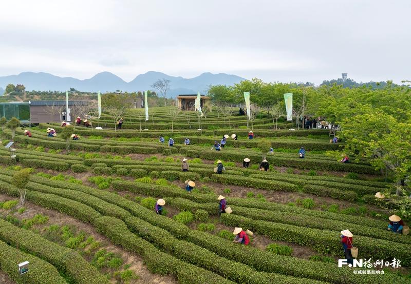 永泰同安镇书写乡村全面振兴新答卷——以环境蝶变激活旅居新经济