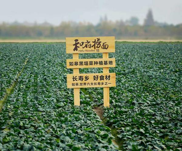 
南方医科大学口腔医院黄牛号贩子票贩子代网上预约代挂号电话“世界长寿乡”金字招牌亮相和府捞面——长寿乡智慧，如何“熬”进一碗面？