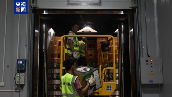 
浙江大学医学附属妇产科医院金杭美陈丹青白晓霞黄牛挂号电话又一批泰国榴莲到了！将送至成都、广州、上海等全国30多个城市