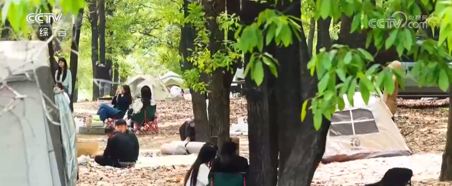 
解放军总医院医院黄牛号贩子票贩子代网上预约代挂号电话“五一”假日文旅玩法升级 “短途跨境”“慢生活”热度飙升